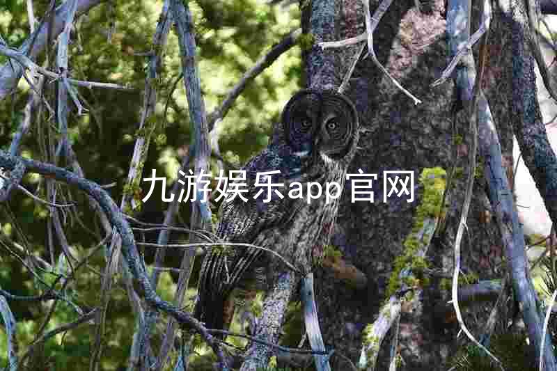 九游娱乐app官网